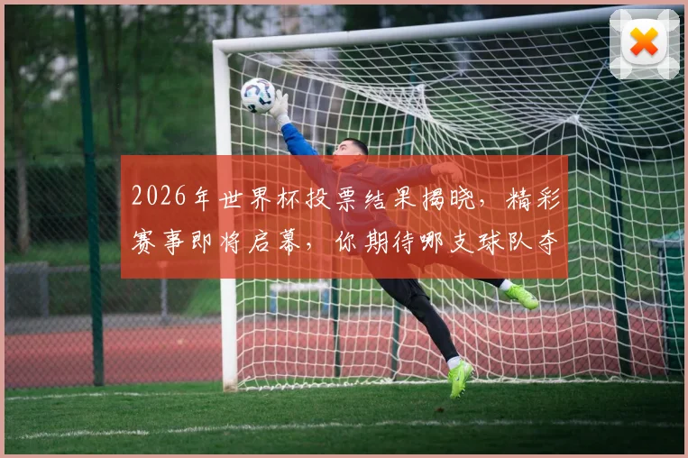 2026年世界杯投票结果揭晓，精彩赛事即将启幕，你期待哪支球队夺冠